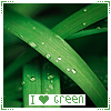 аватар I love green