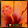 аватар I love orange