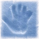 аватар Отпечаток руки человека на снегу