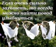 аватар Котята в трусах и надпись