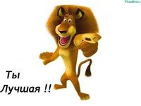 аватар Мультяшный лев и надпись