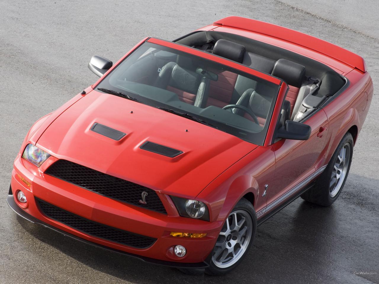 обои Shelby GT500 Convertible фото