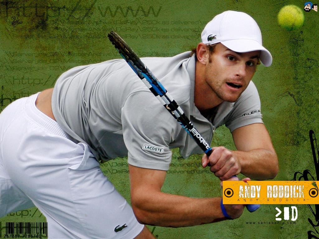 обои Andy Roddick фото