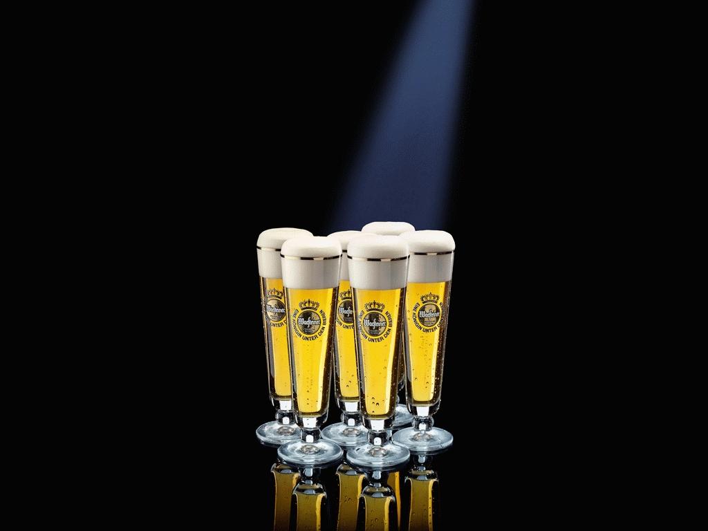 обои Warsteiner фото