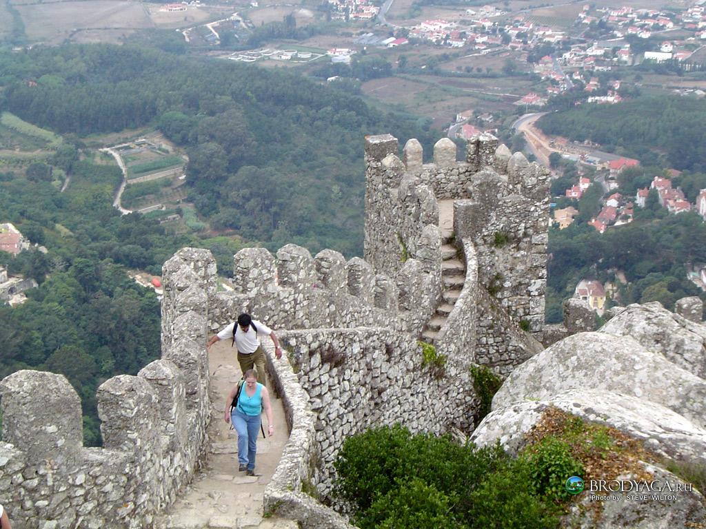 обои Sintra фото