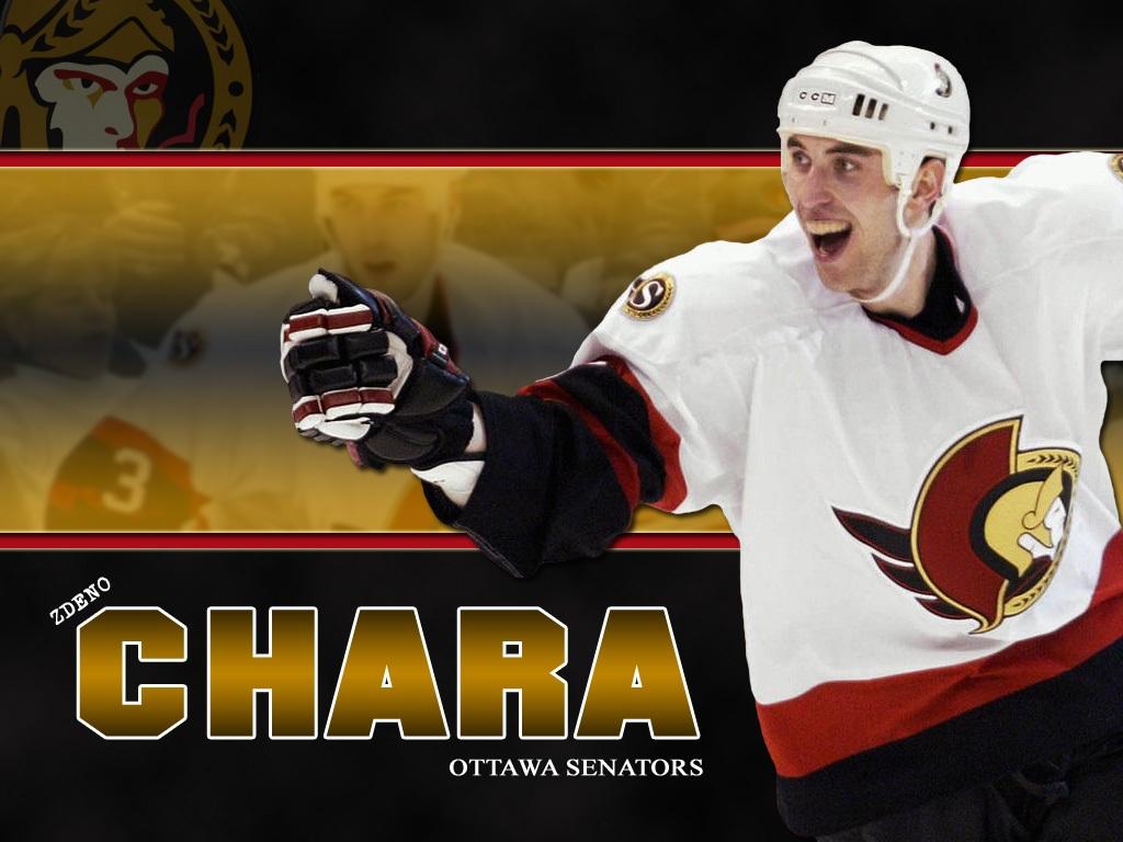 обои Zdeno Chara фото