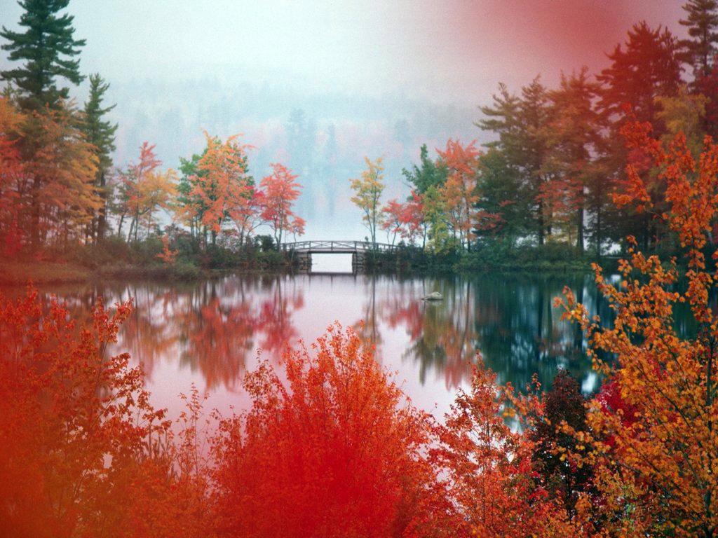 обои Осень на пруду, в Японии фото