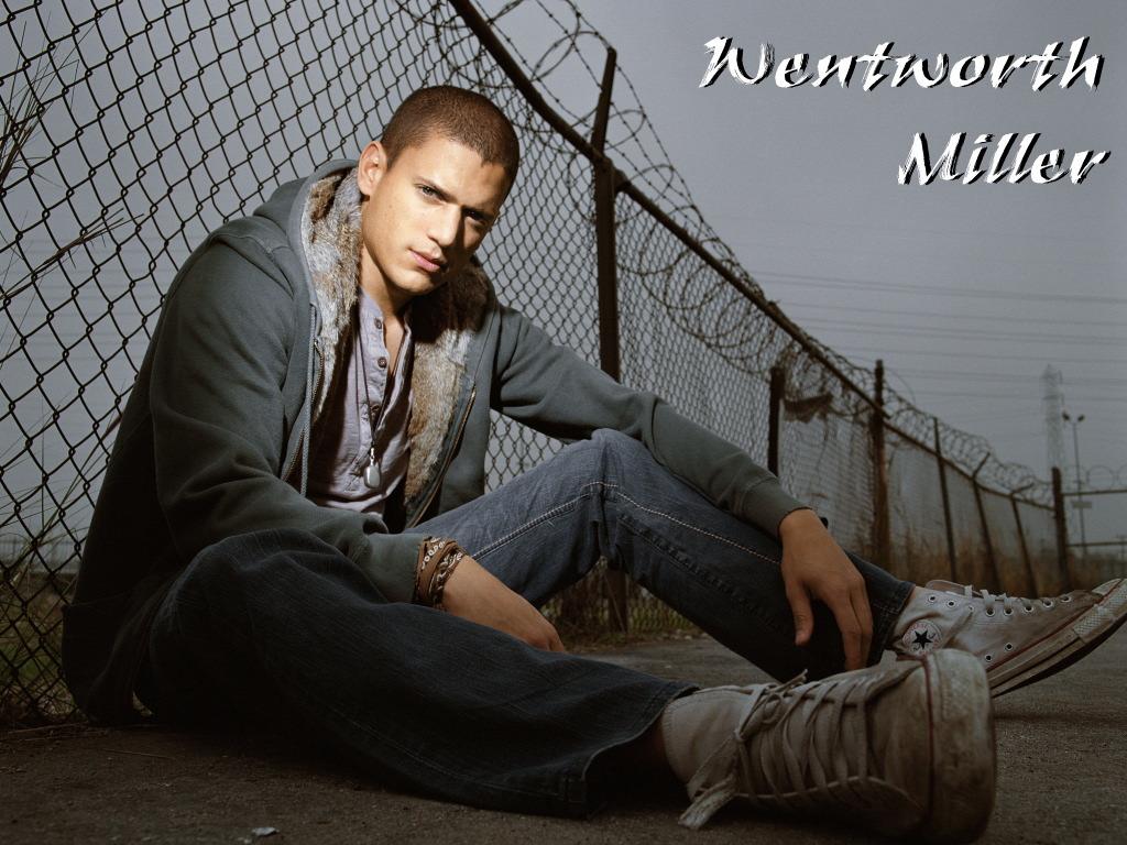 обои Wentworth Miller фото