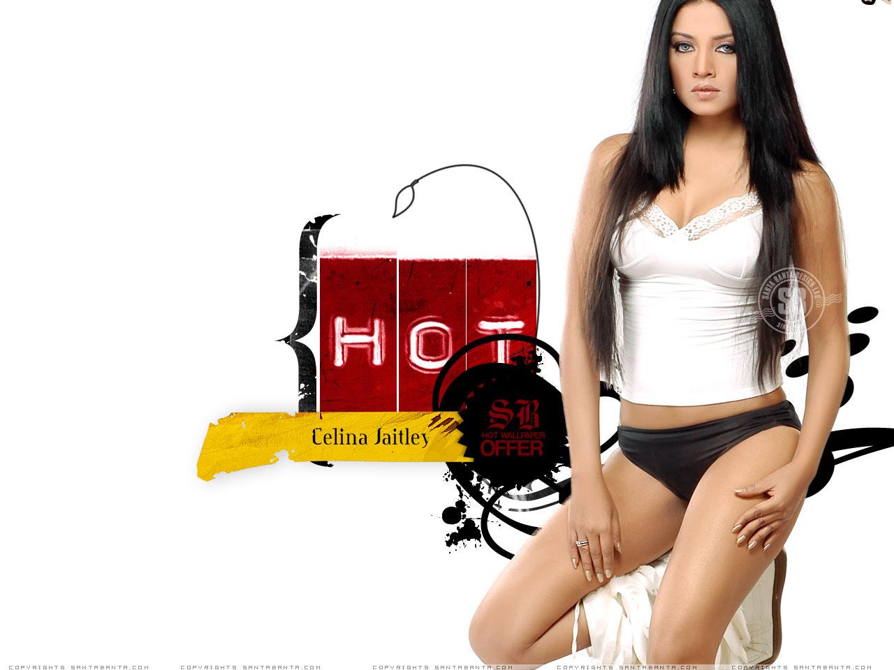 обои Celina Jaitley фото