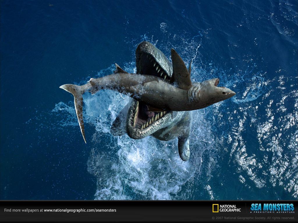 обои Tylosaurus seizes a Squalicorax out of water фото