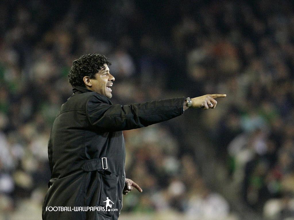 обои Frank Rijkaard фото