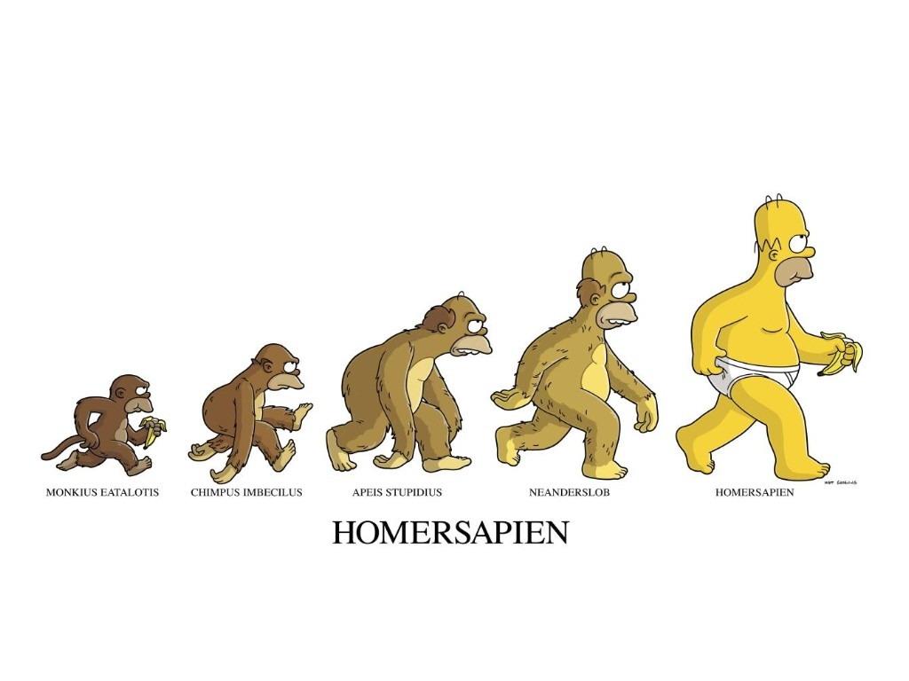 обои Homersapien фото