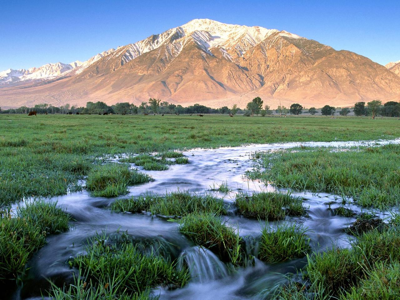 обои Mount Tom, Owens  Valley, Eastern Sierra, California фото