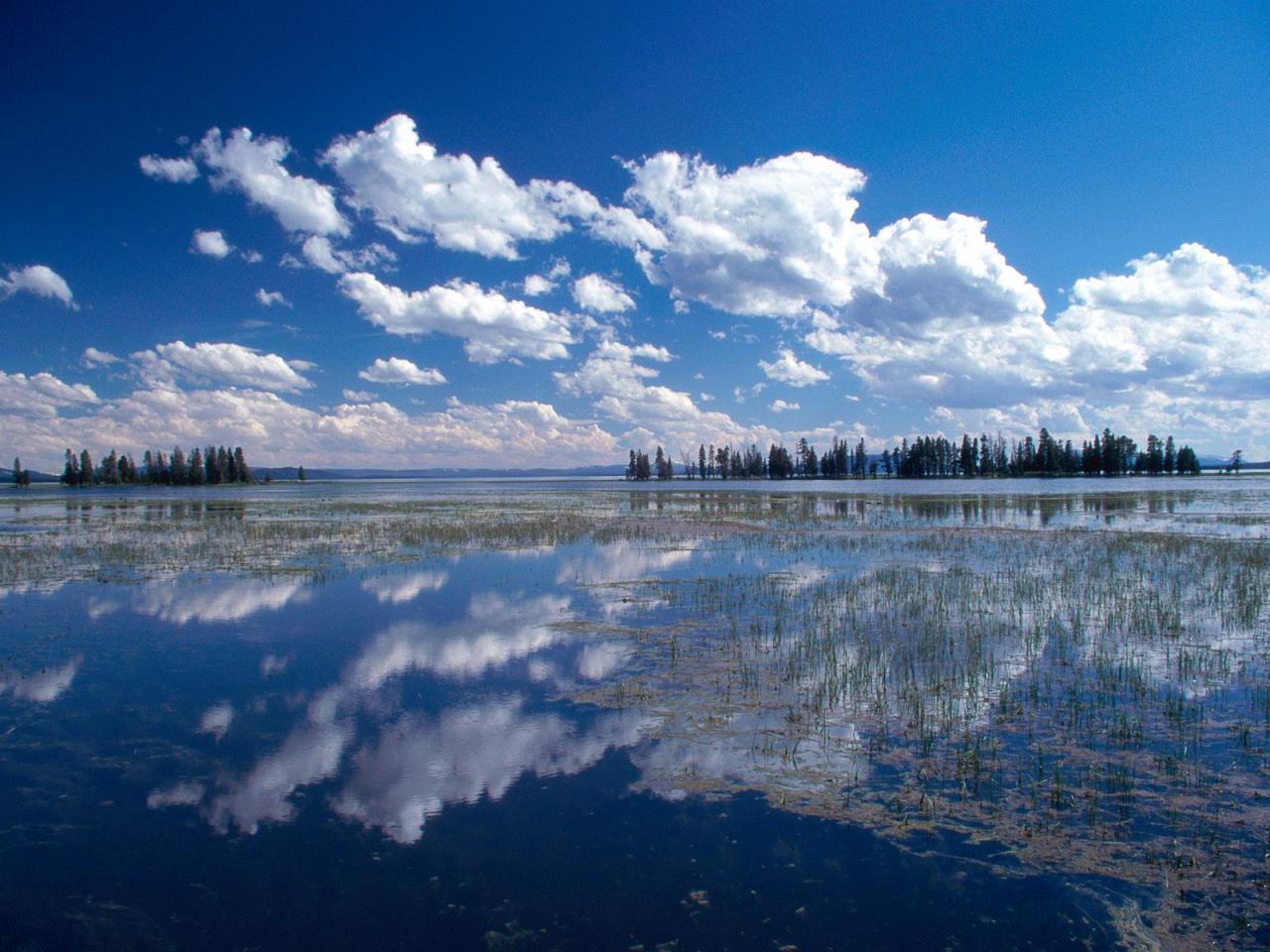 обои Озеро Йеллоустоун фото