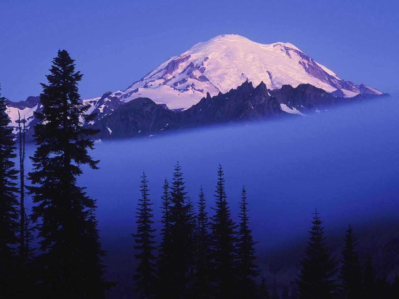 обои Rising Through the Fog, Mount Rainier, Washington фото