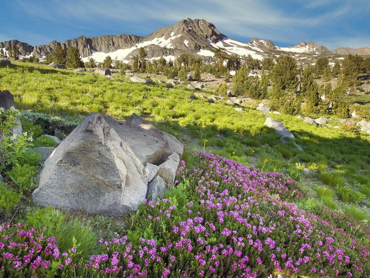 обои Carson Pass, Sierra Nevada Mountains, California фото