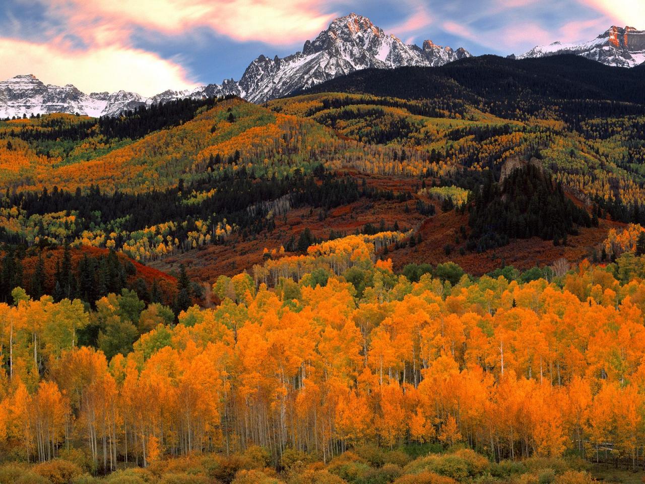 обои Sunrise Light on Mount Sneffels, Uncompahgre National Forest, Colorado фото