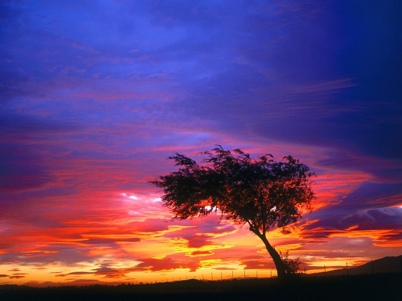 обои Sunrise, Palmdale, California фото