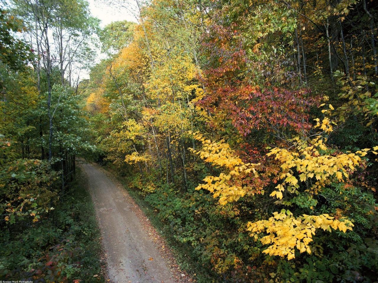 обои Осенняя дорога, Национальный Парк Грейт-Смоки-Маунтинс. Шт. Теннесси фото