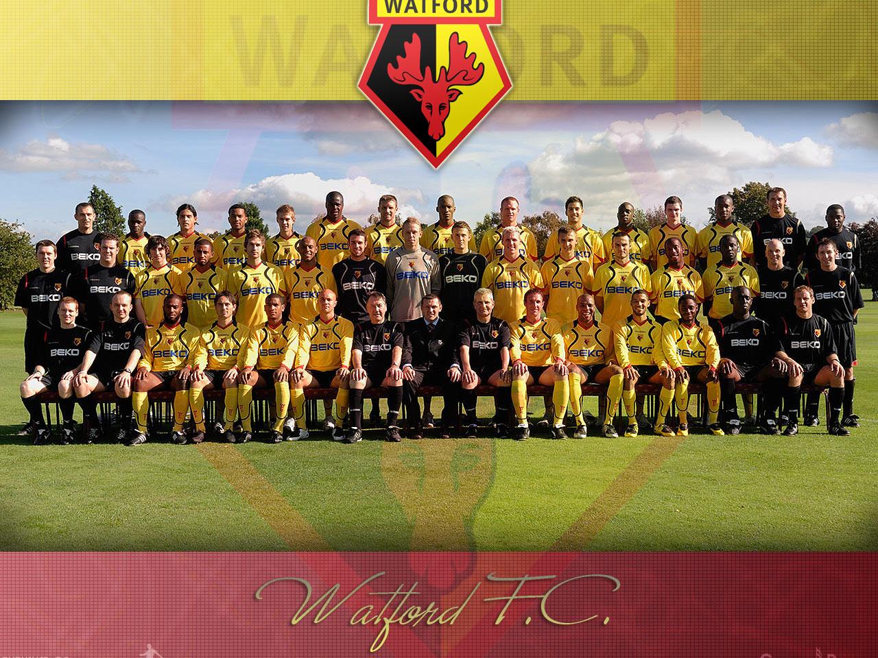 обои Watford Football Club фото