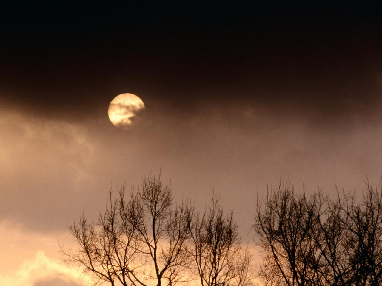 обои Ominous Evening, Nashville, Tennessee фото