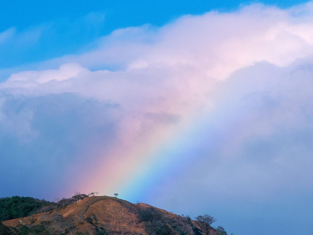 обои Rainbow Over the Monteverde Cloud Forest Reserve, Costa Rica фото