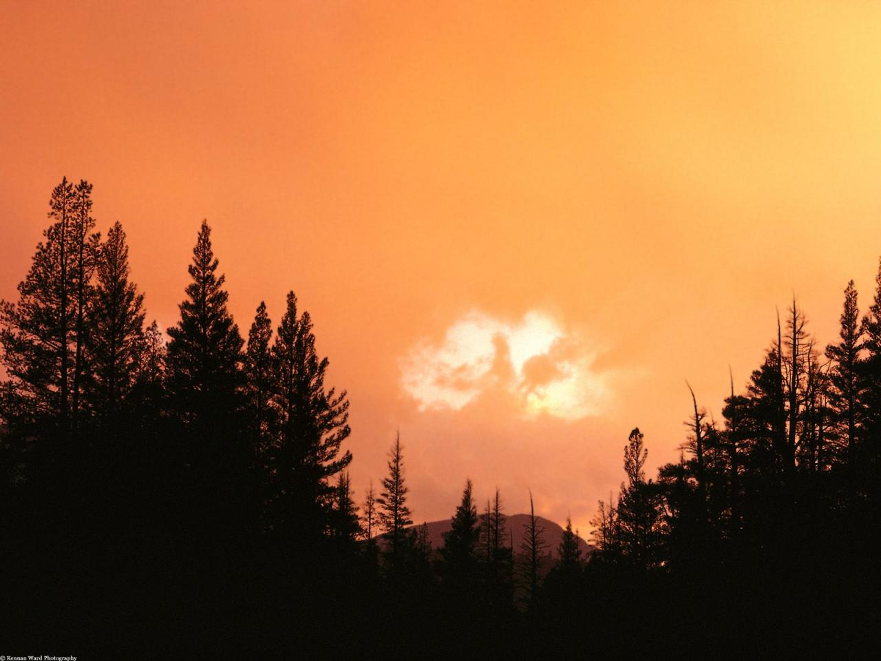 обои Divine Cloud at Sunset, California фото