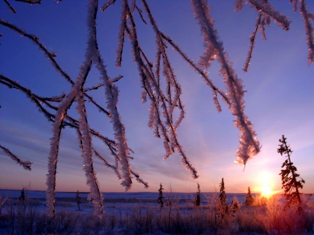 обои Зимний восход фото