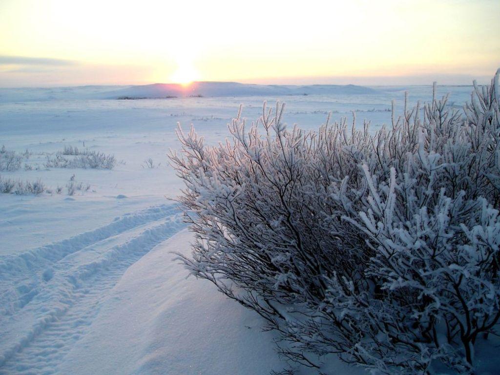 обои Зимний восход фото