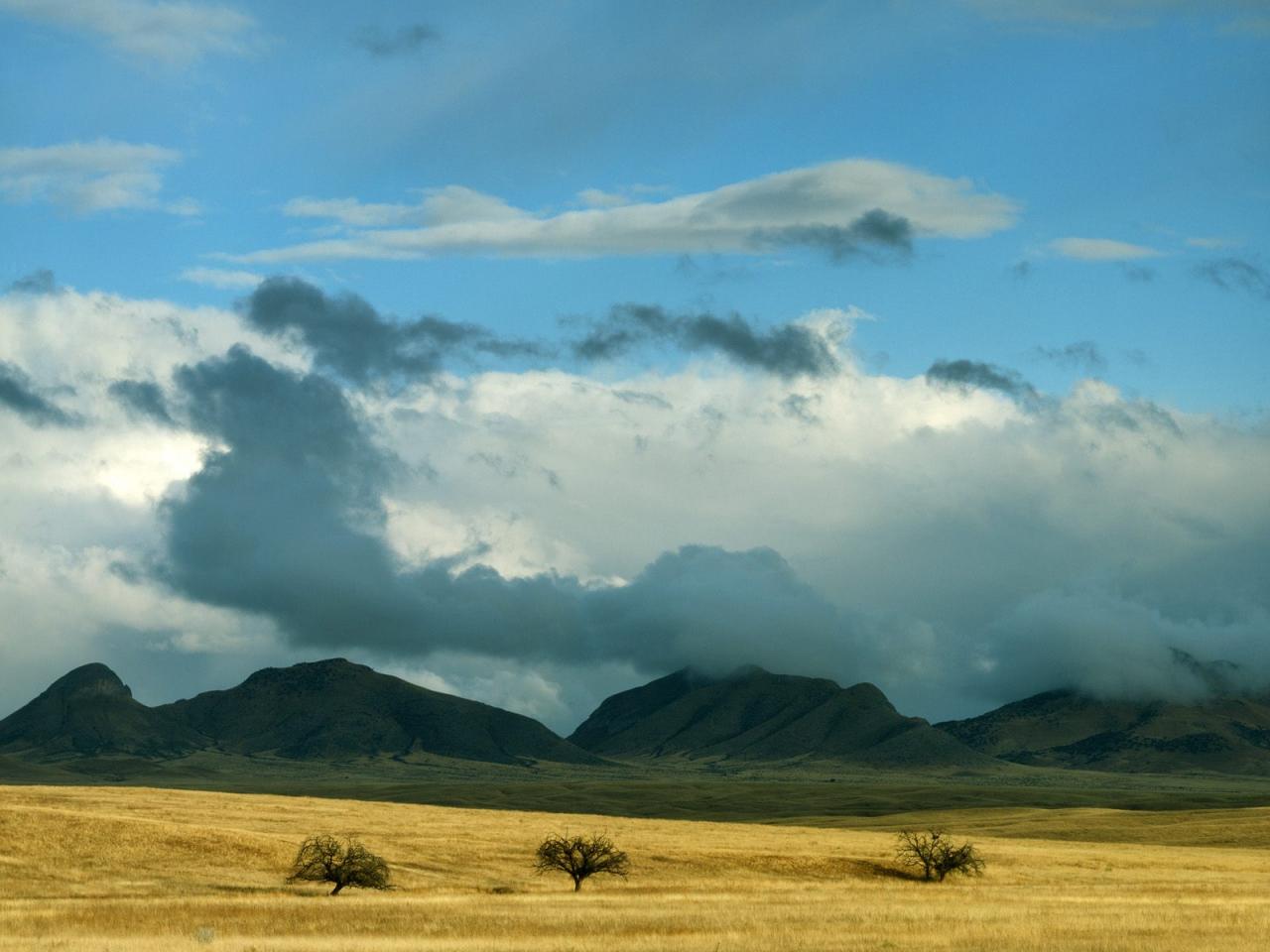 обои Coronado National Forest, Arizona фото