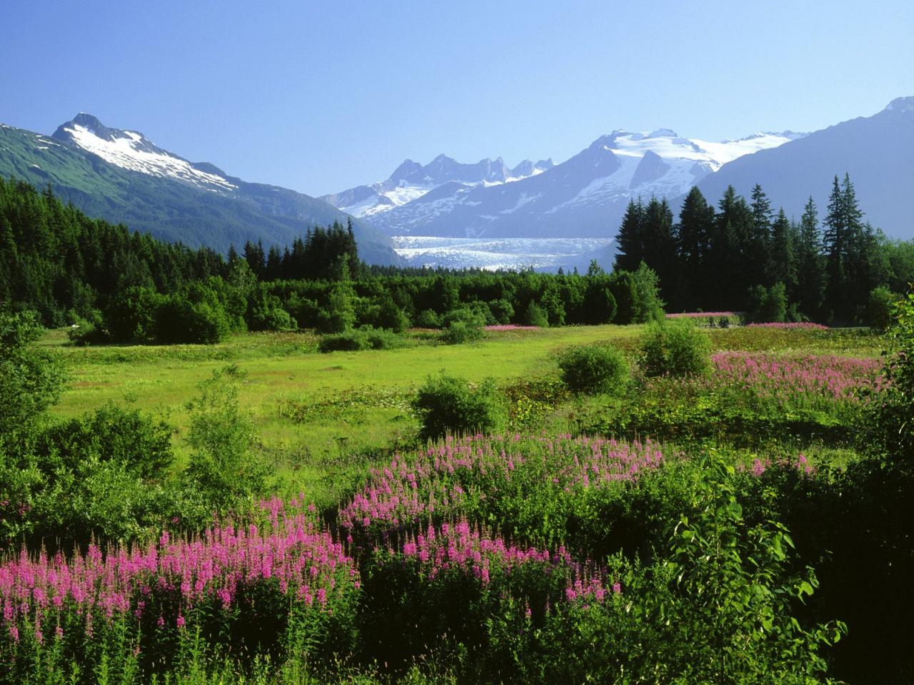 обои Mendenhall Glacier, Alaska фото