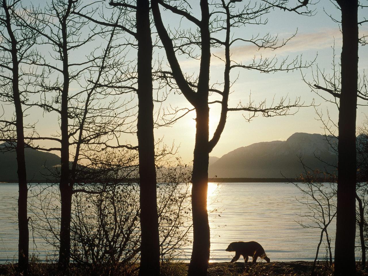 обои Naknek Lake, Katmai National Park, Alaska фото