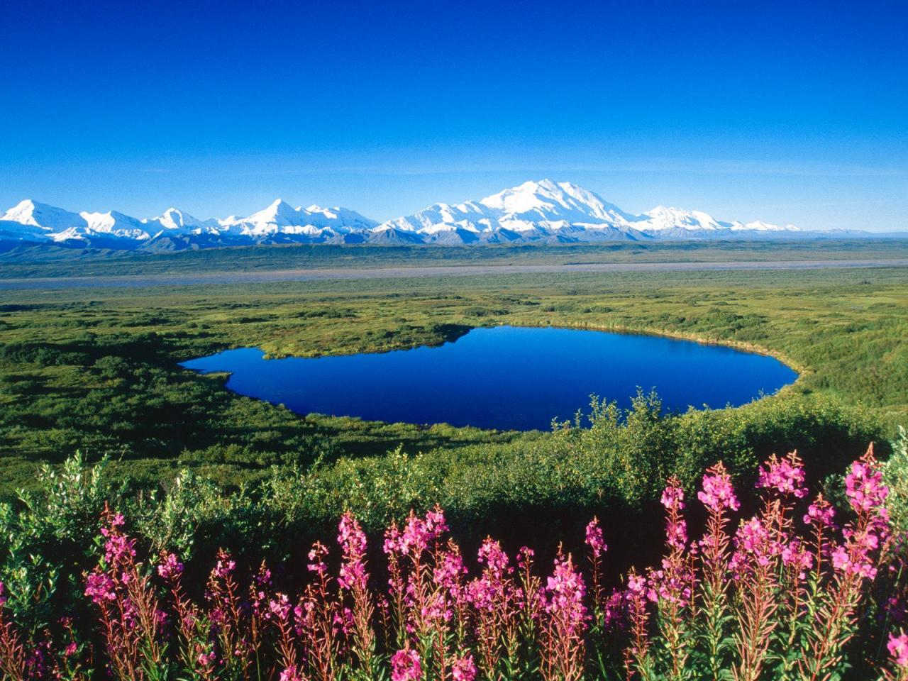 обои Tundra Pond, Mount McKinley, Denali National Park, Alaska фото