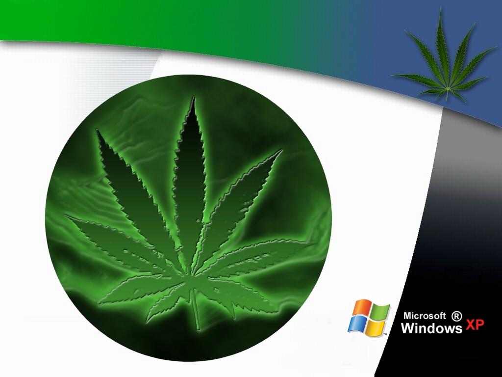 обои Windows XP Ganja фото