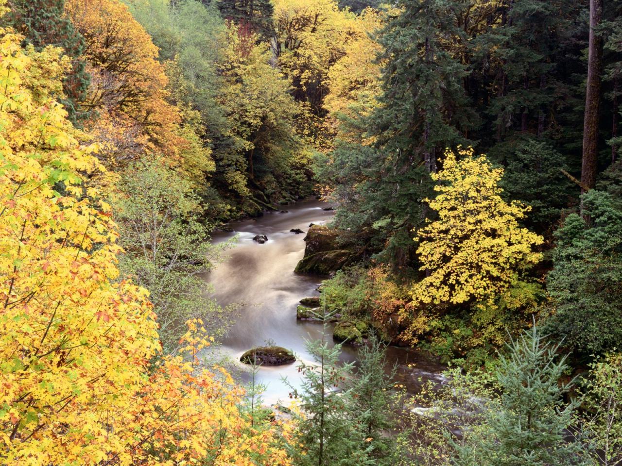 обои Coquille River, Oregon фото