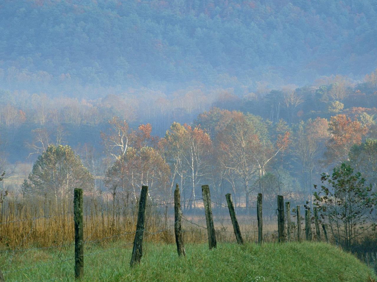 обои Great Smoky Mountains National Park, Tennessee фото