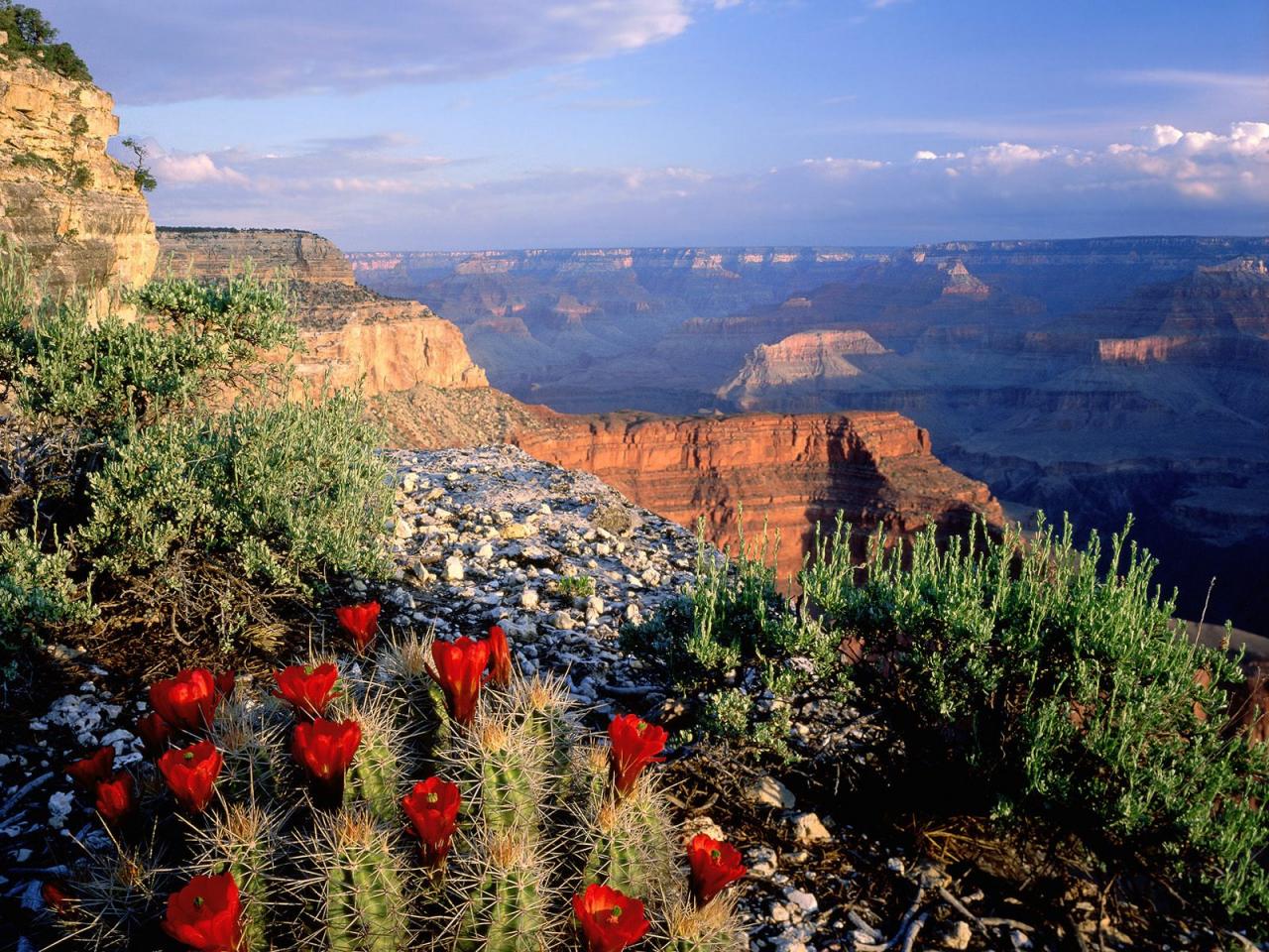 обои Grand Canyon National Park, Arizona фото