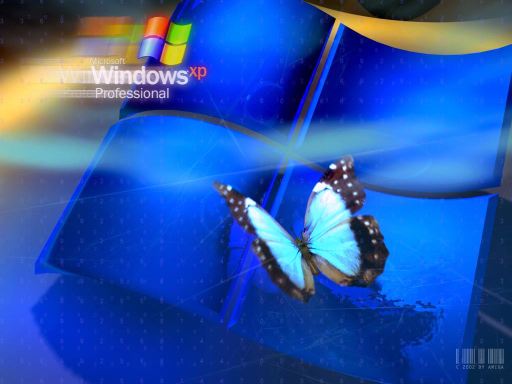 обои Windows Xp бабочка фото