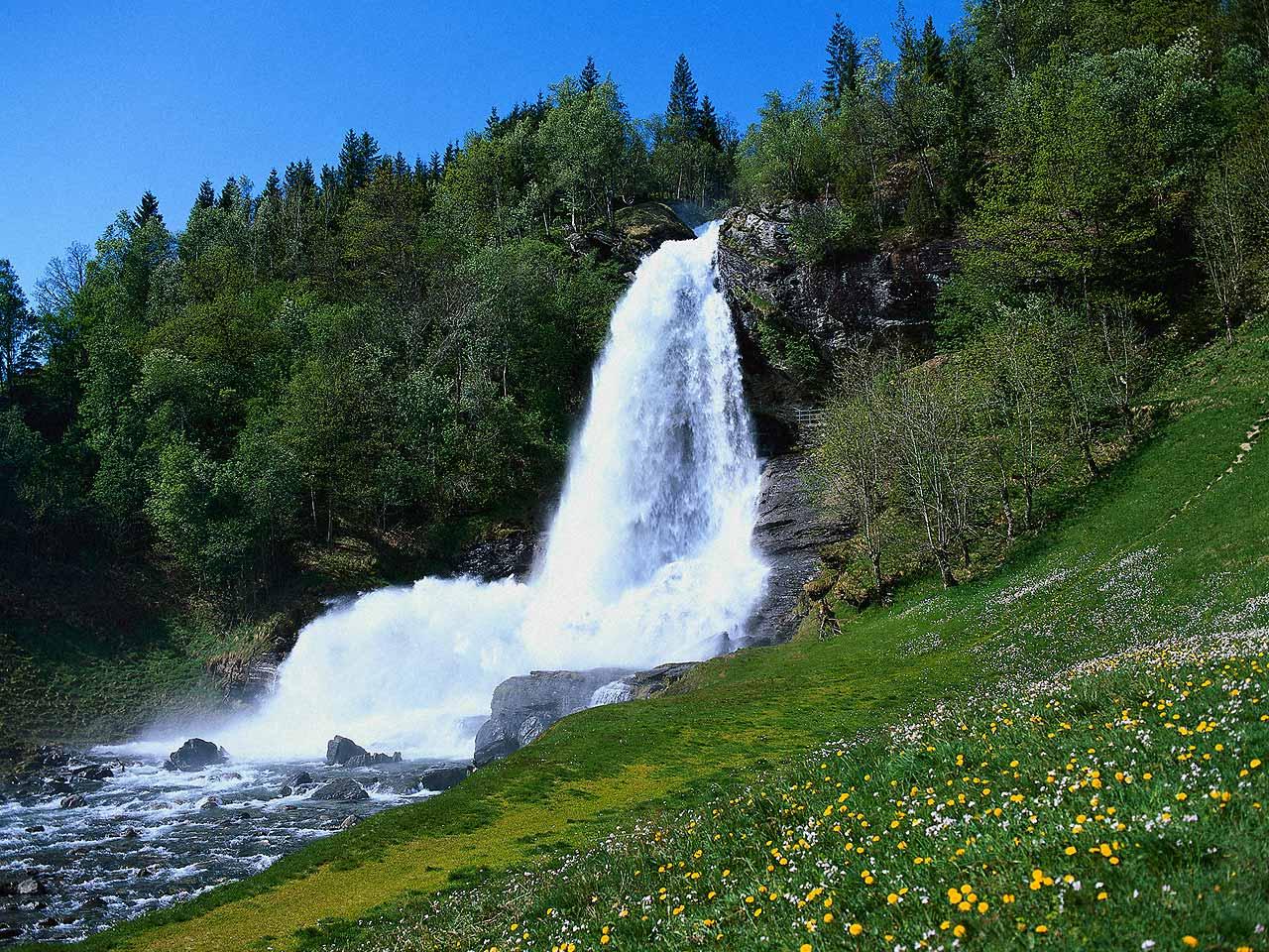 обои Цветочки на лугу и водопад фото