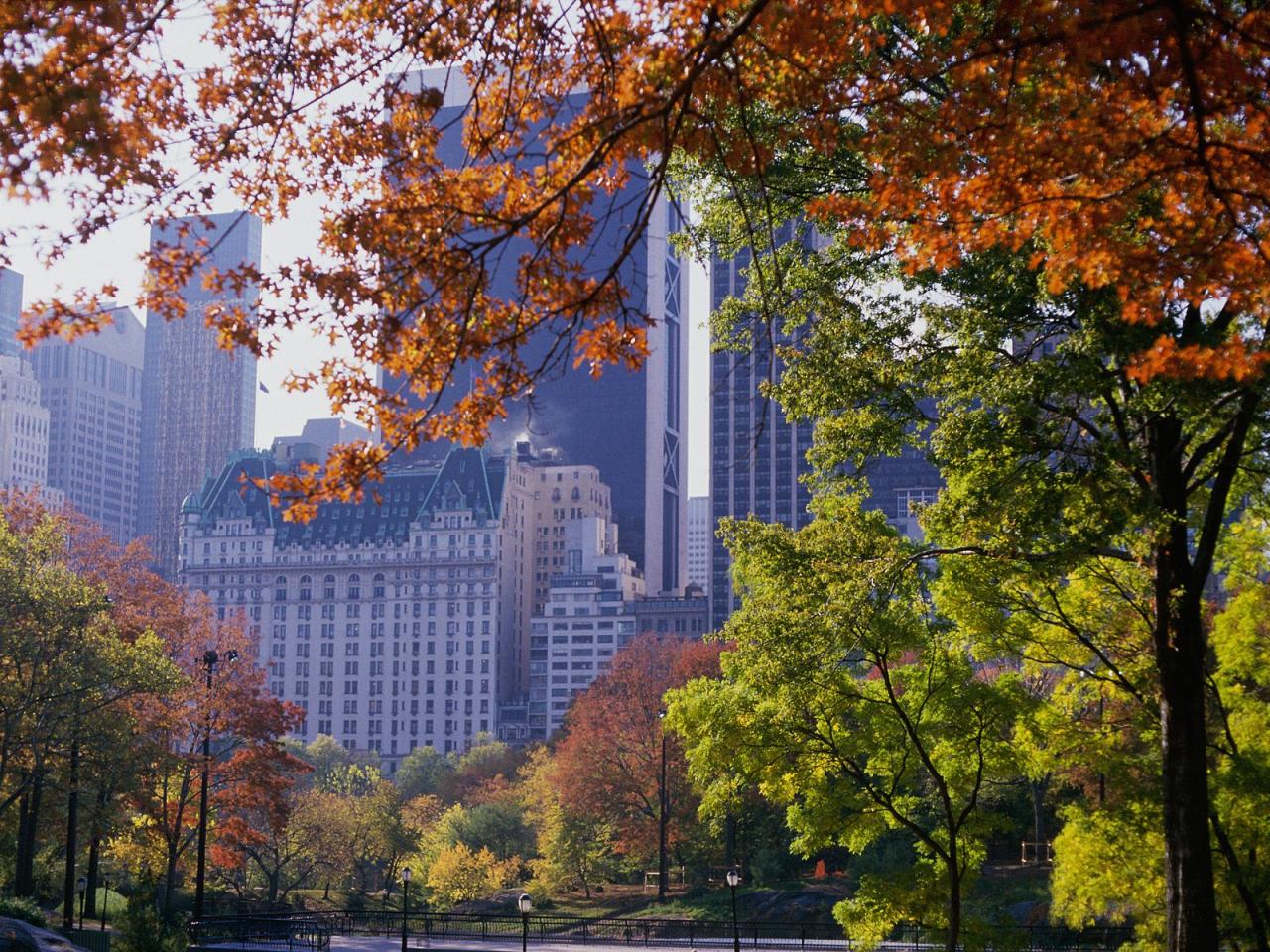 обои Central Park in Autumn, New York фото