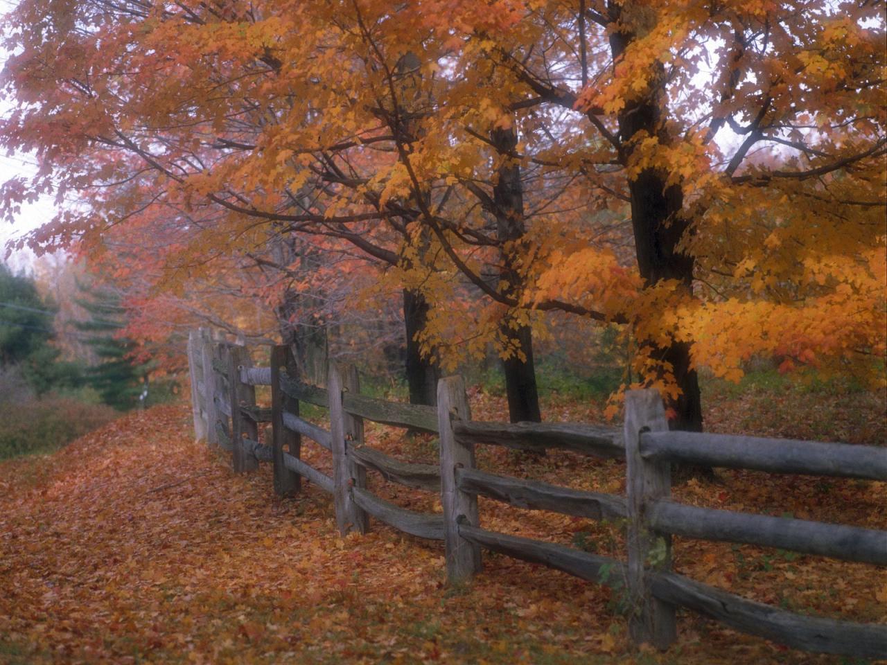 обои Country Fence, Ohio фото