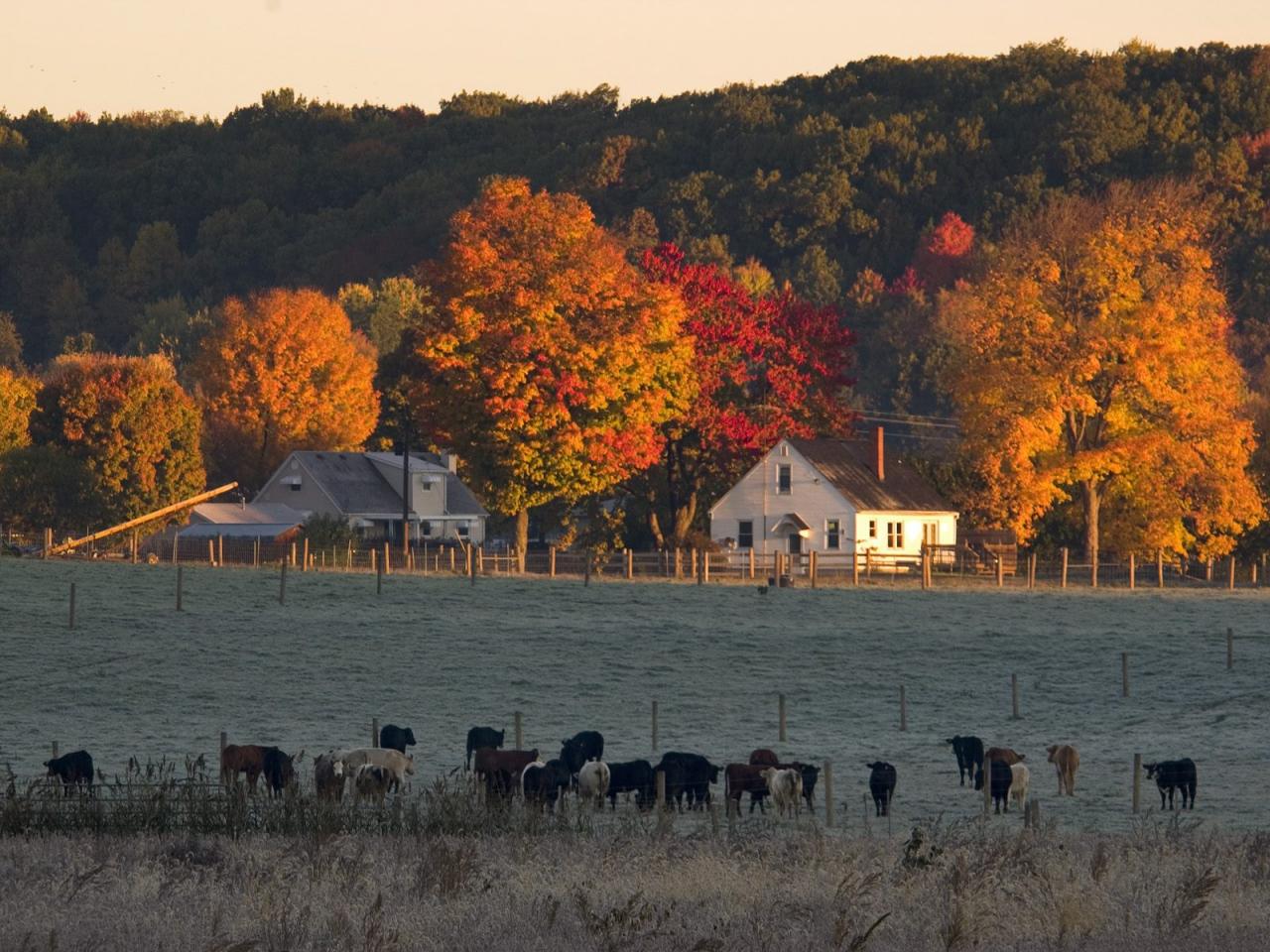 обои Farm in Hocking Hills, Ohio фото