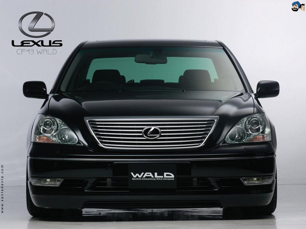 обои Lexus CF43 Wald фото