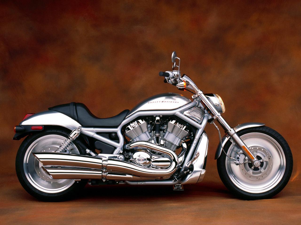 обои Harley Davidson V-Rod фото