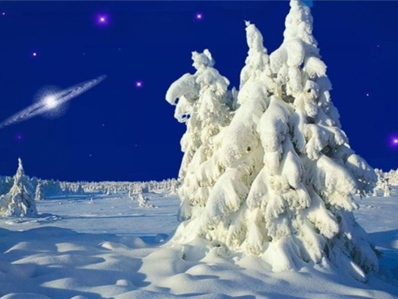 обои Морозные фантазии на зимних елях фото
