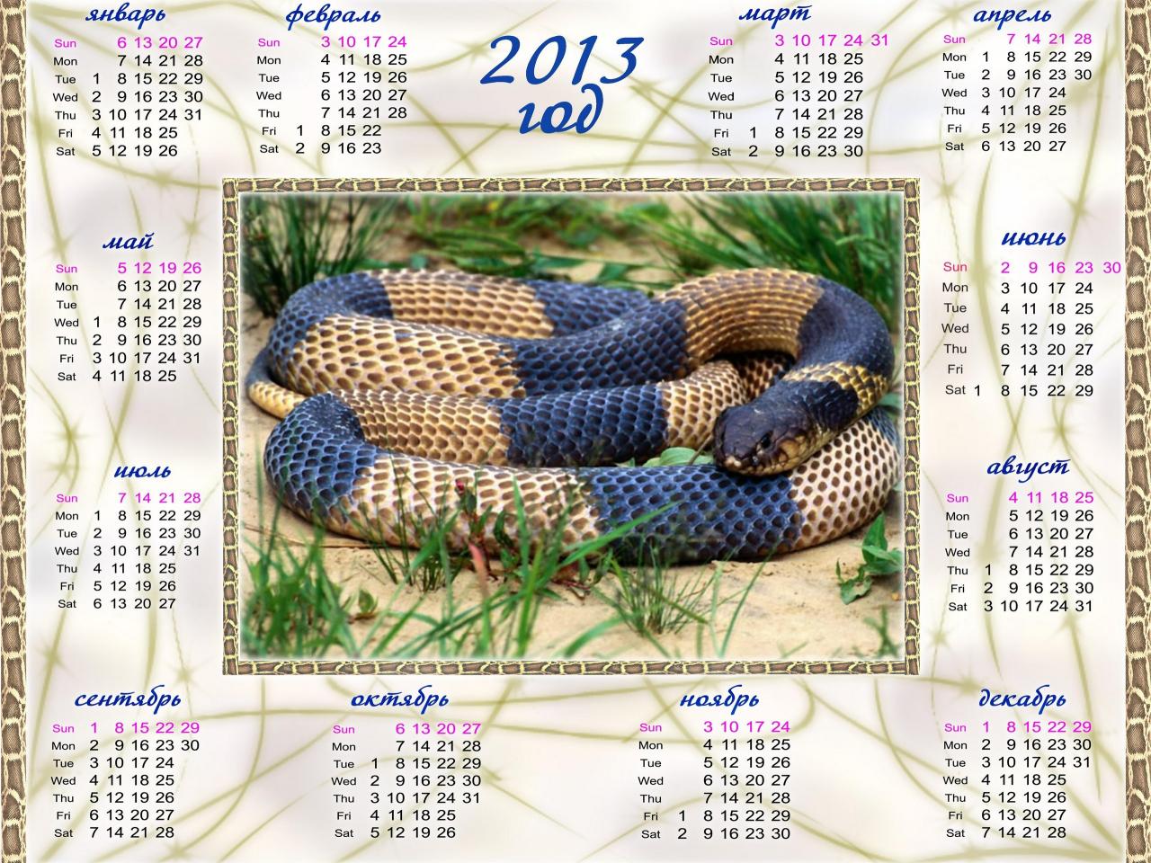 обои Календарь - 2013 - Змея на траве фото