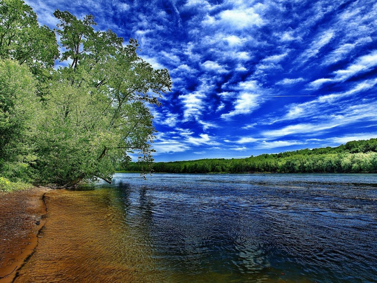 обои Деревья над водaми фото