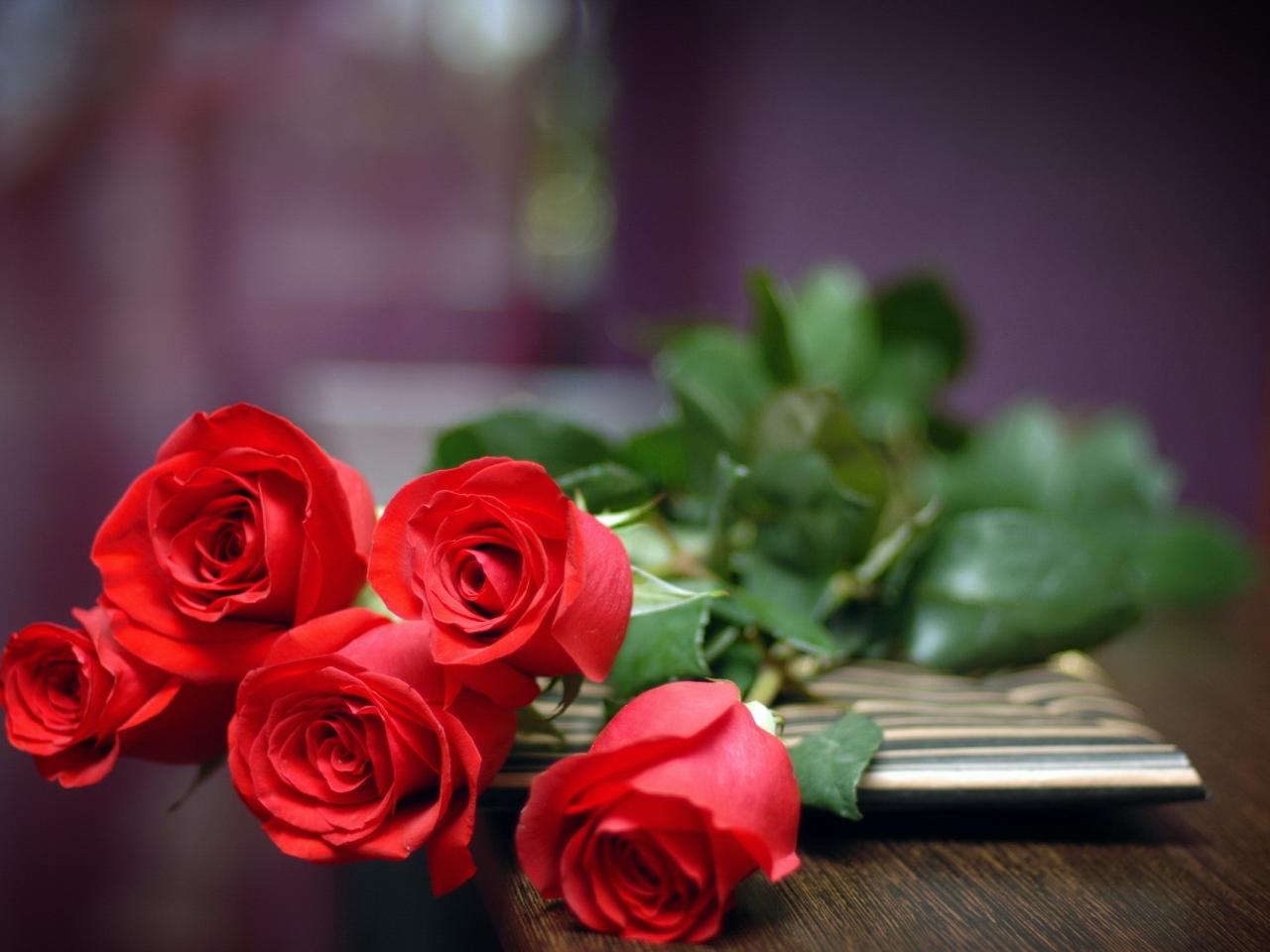 обои Пять красных бутoнов розы фото