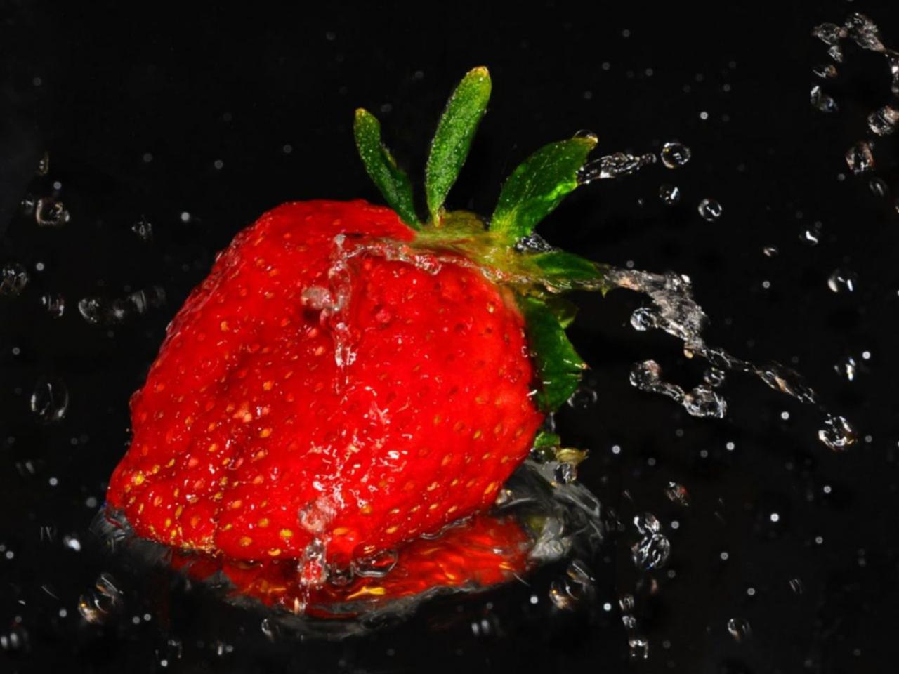 обои Красная ягода в каплях фото