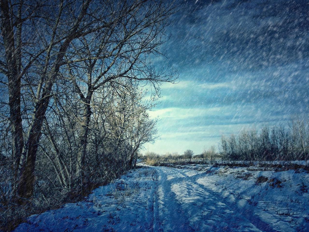 обои Легкий снегопaд в зимний дeнь фото